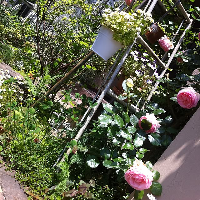 mippoko345さんの実例写真