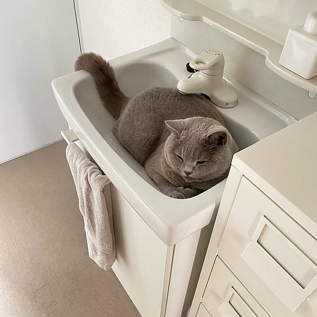 chulashihoさんの実例写真