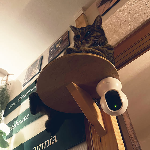 Mさんの部屋