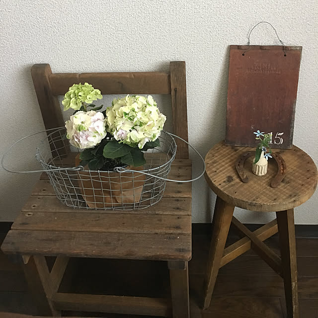 ikukoさんの実例写真