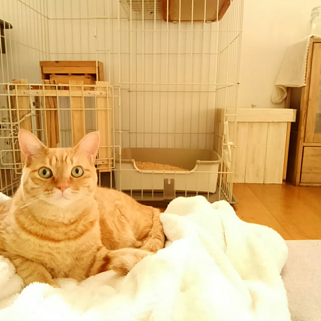 mayutan.さんの実例写真