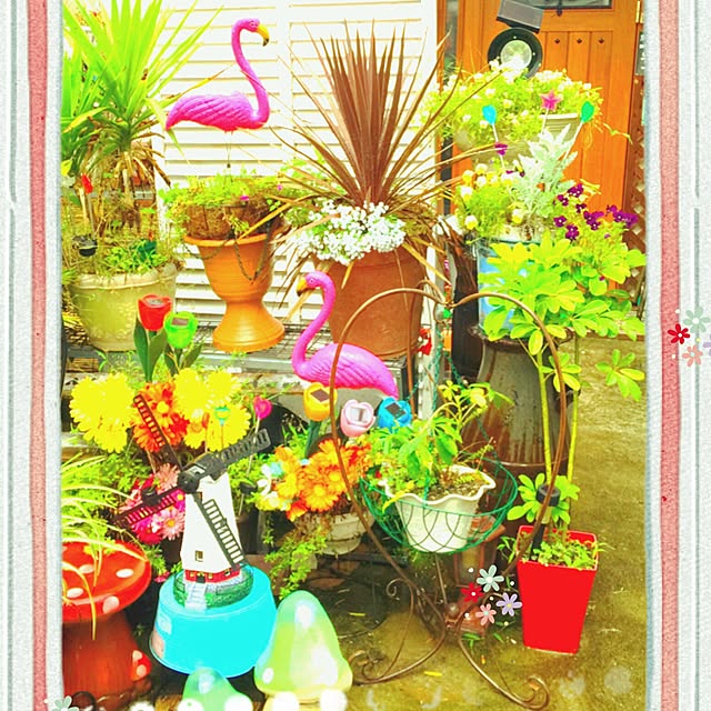 ichigonohanaさんの実例写真