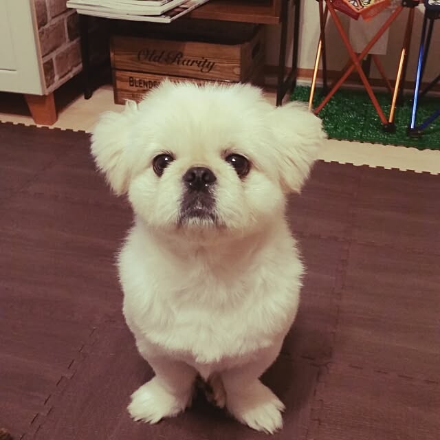 yukaiさんの実例写真