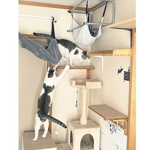 Lufuさんの実例写真