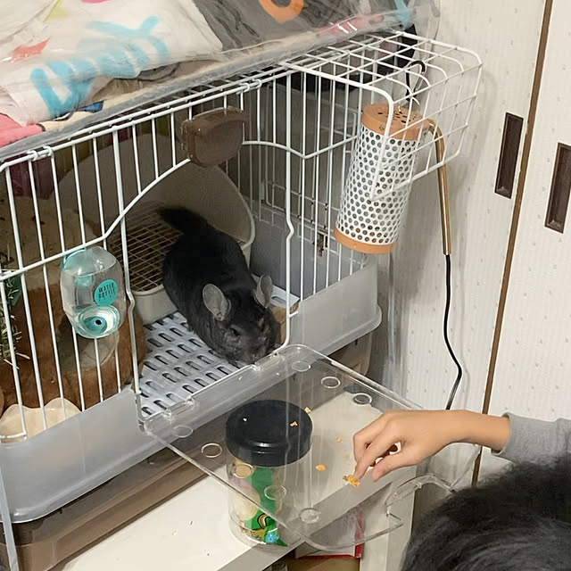 milkさんの実例写真
