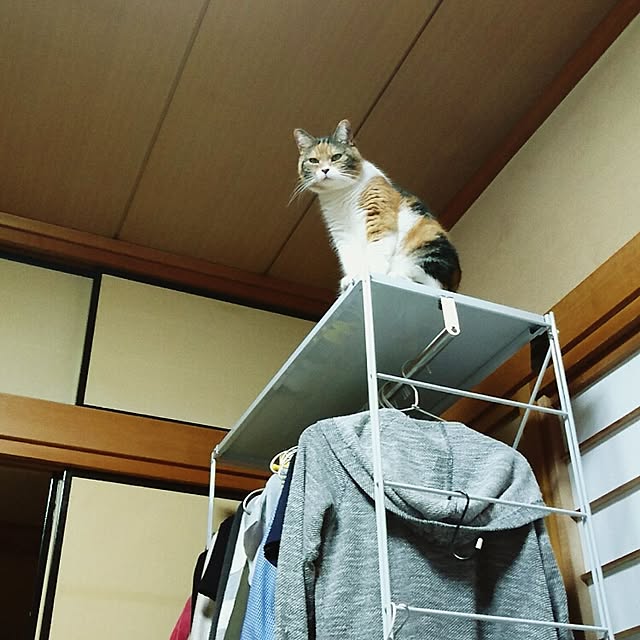 yukieさんの実例写真