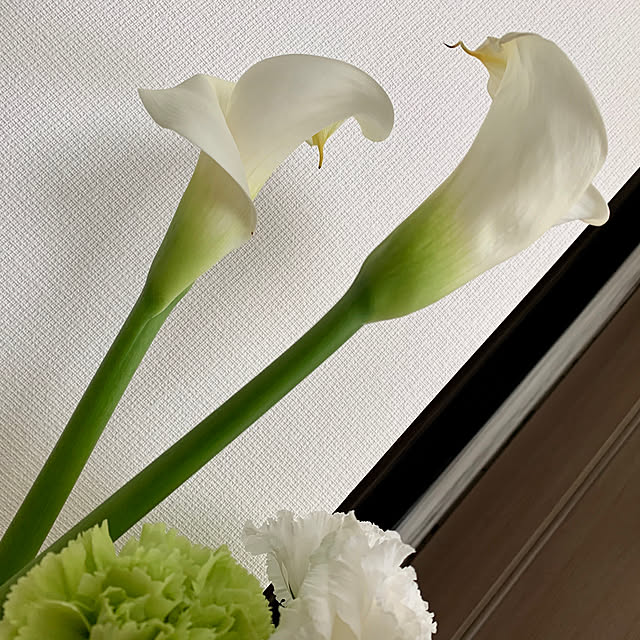 alohayukiさんの実例写真