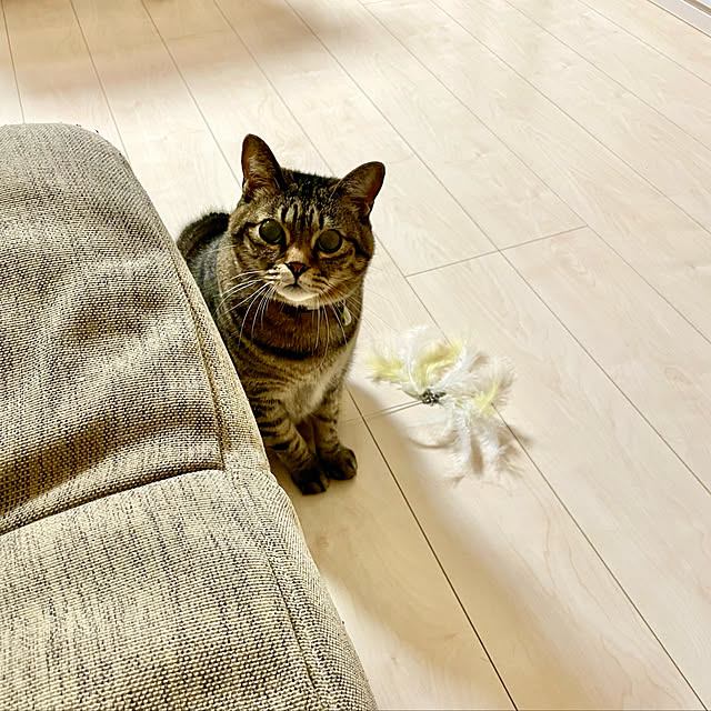 t-famさんの実例写真