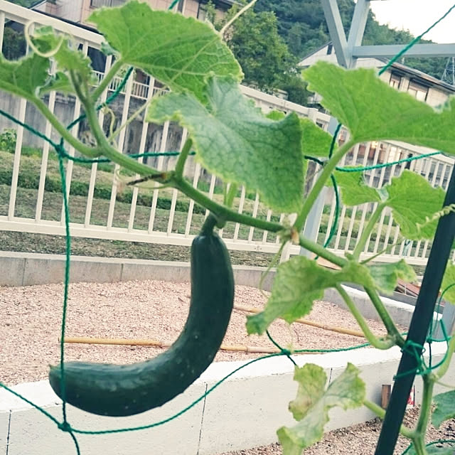 KTKYTさんの実例写真