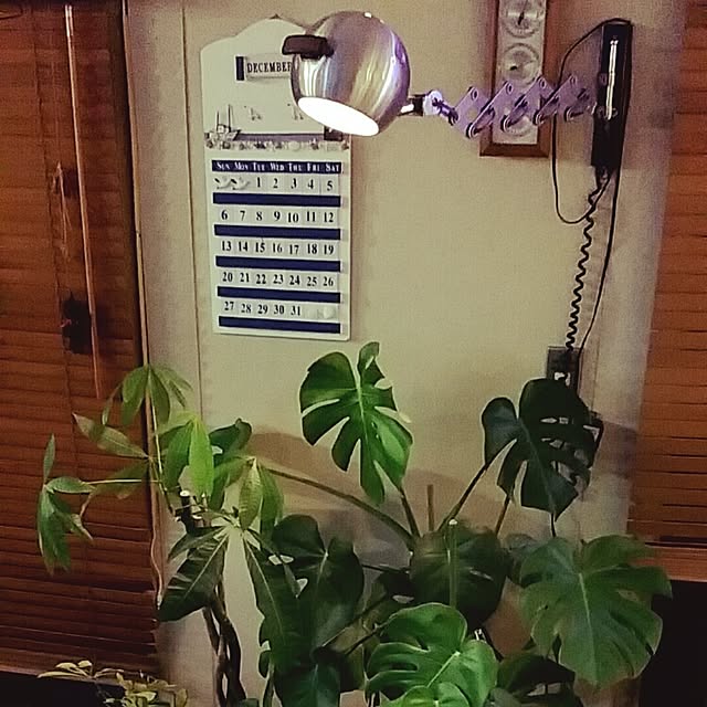 johnny.bravoさんの実例写真
