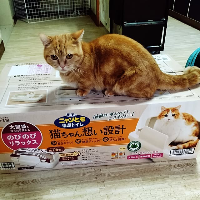 runaさんの部屋