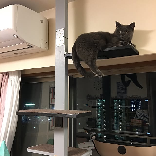 Shojiさんの実例写真