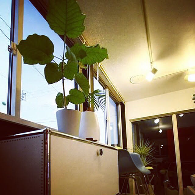 eames_colorさんの実例写真