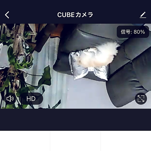 1546さんの実例写真