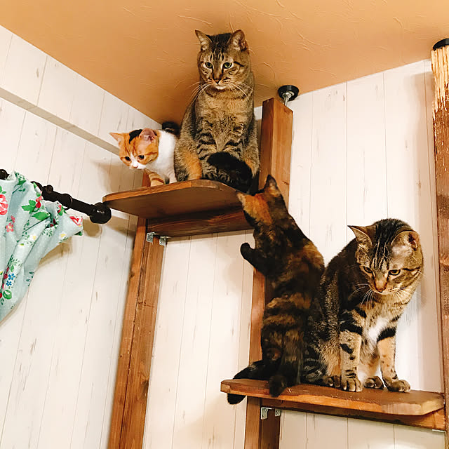 pepeさんの実例写真