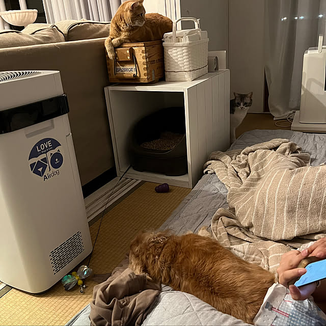 Atelier.mさんの実例写真