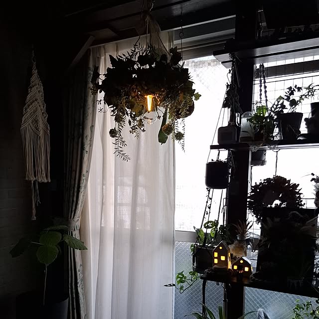 noaさんのお部屋の写真