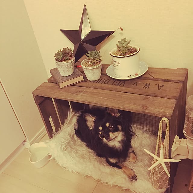 mioさんの実例写真