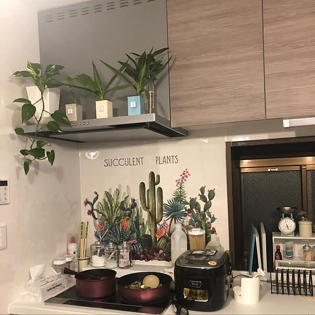 ウォールステッカー/観葉植物/NO GREEN NO LIFE/キッチンのインテリア実例 - 2022-03-27 16:49:45