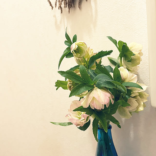 yuuumyさんの実例写真