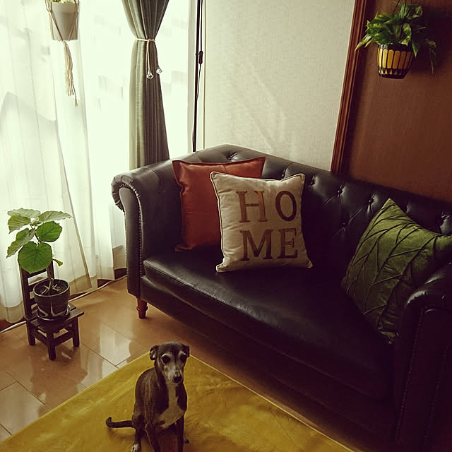 moruさんの実例写真