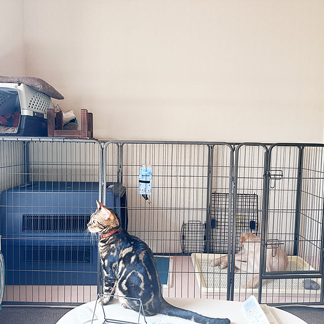 misslilykaraさんの実例写真