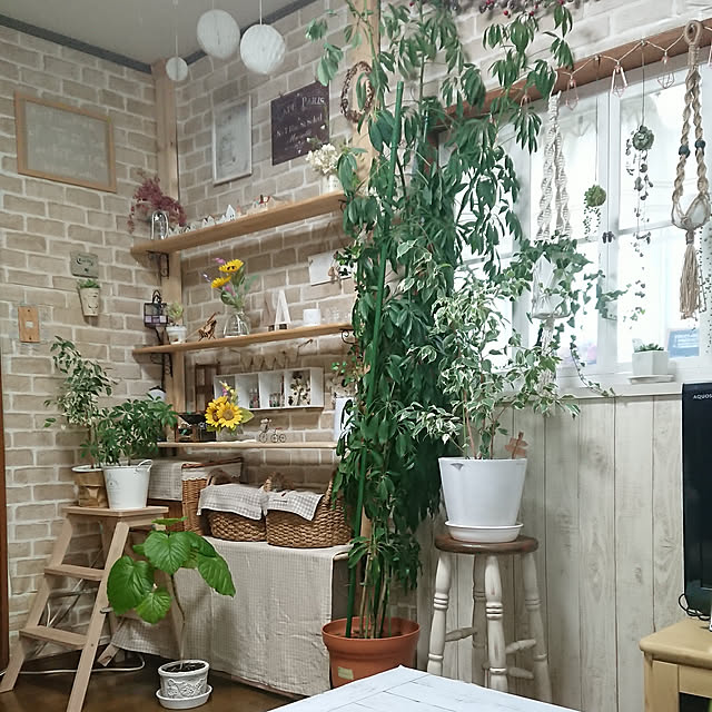 naopyiさんの実例写真