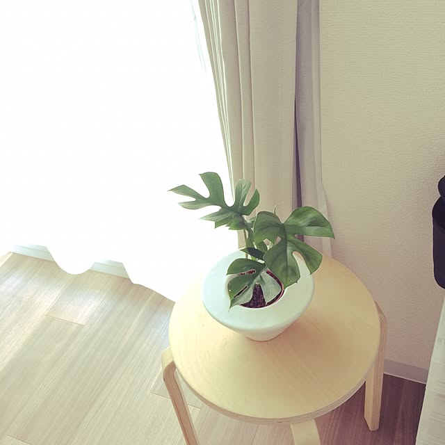 botanさんの実例写真