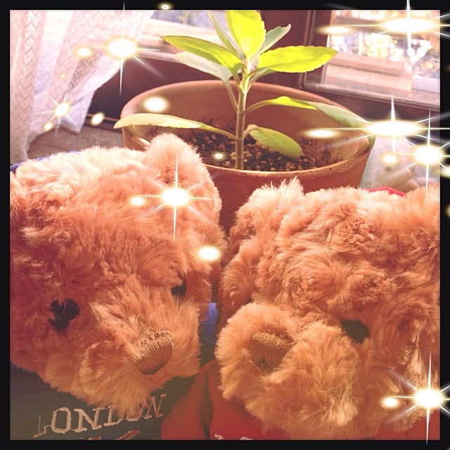 NAAさんの実例写真