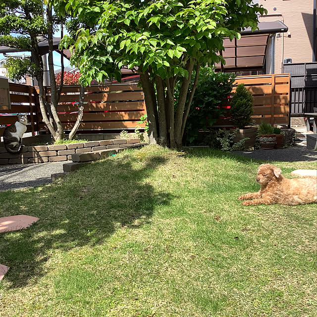 haruminさんの実例写真