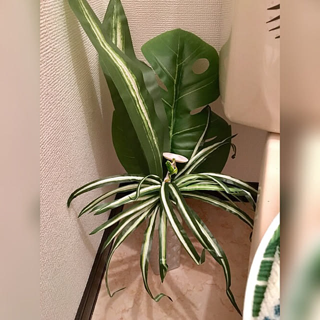 VITAさんの実例写真