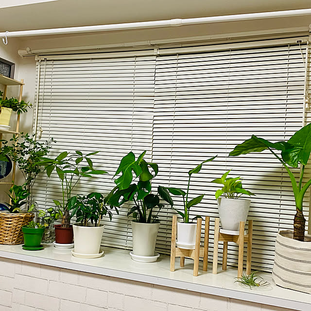 tmrnh0807さんの実例写真