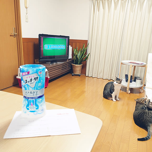nachiさんの実例写真