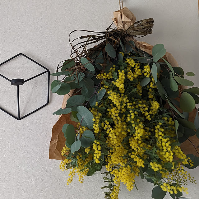 壁/天井/花のある暮らし/植物のある暮らし/雑貨のある暮らし/雑貨...などのインテリア実例 - 2023-03-08 09:43:53