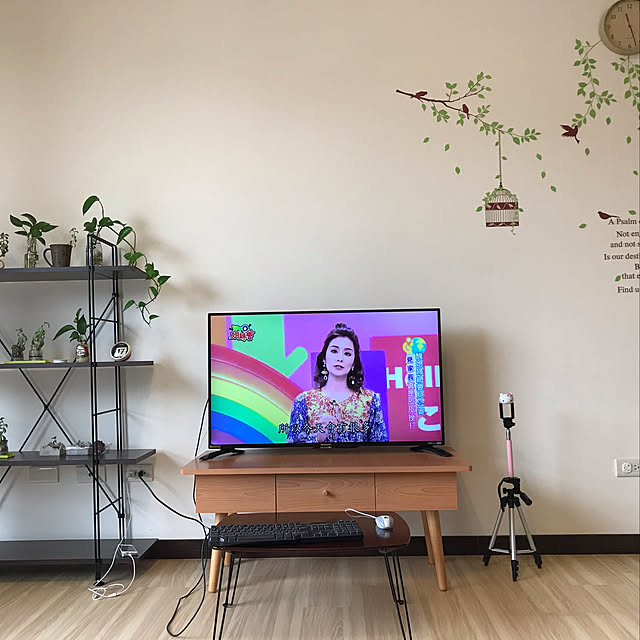 観葉植物/リビングのインテリア実例 - 2019-04-28 12:46:27