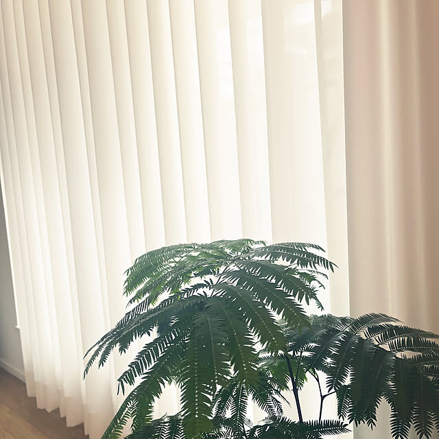 myurin.comさんの部屋