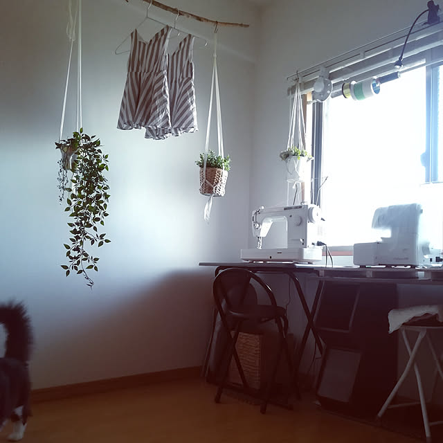 curatohimyさんの実例写真