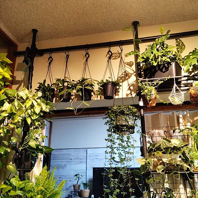 runaさんの部屋