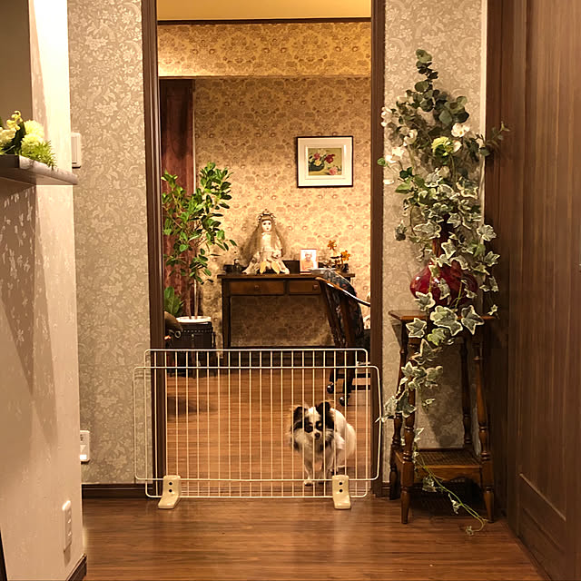 chibikoro3さんの実例写真