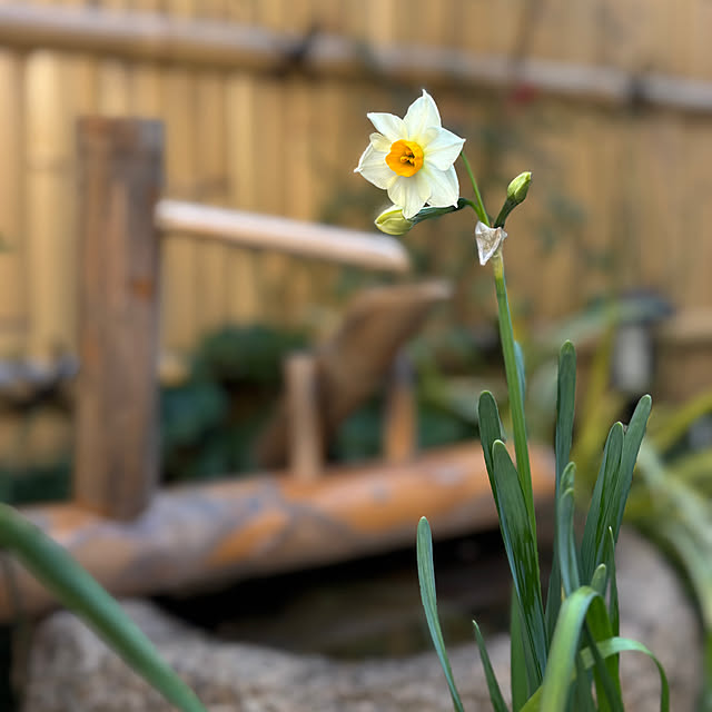 fawnさんの実例写真