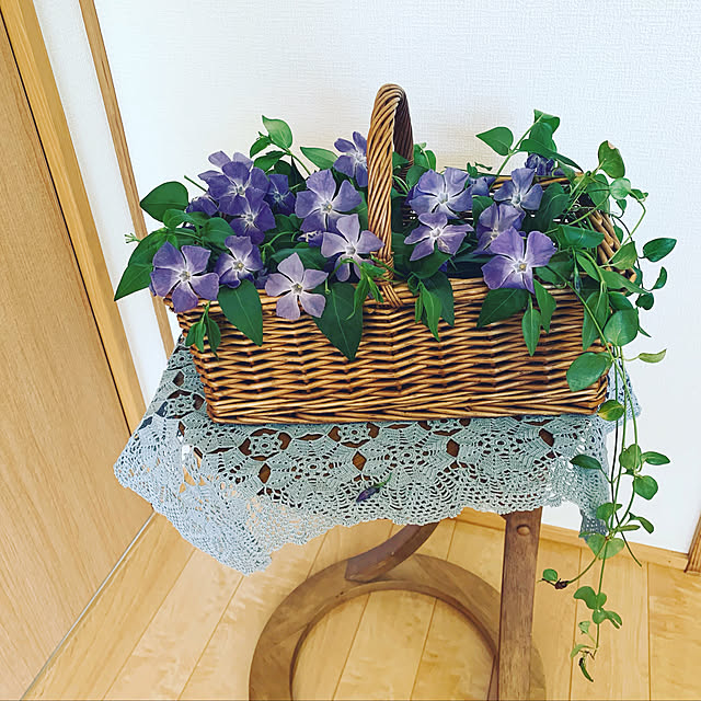 cuna0807さんの実例写真