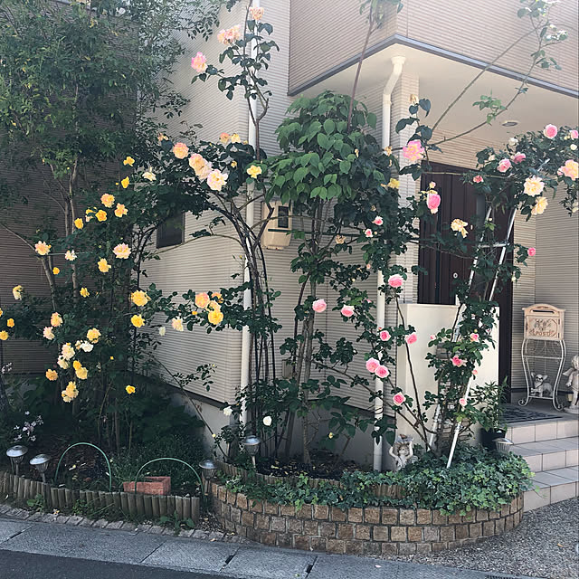 angelrose.yuuさんの実例写真