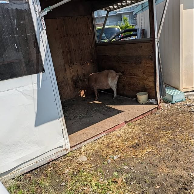 minnieさんの部屋