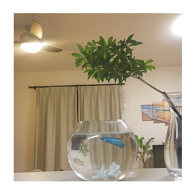 htmさんの実例写真