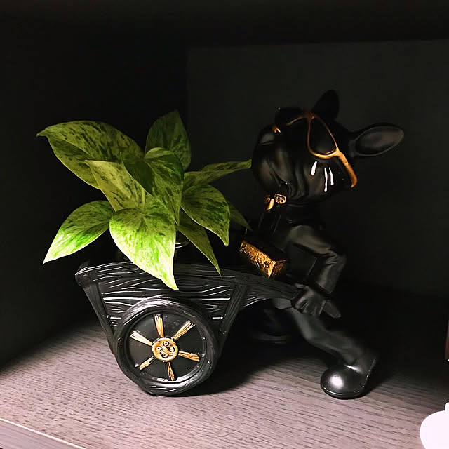 Riku2009さんの部屋