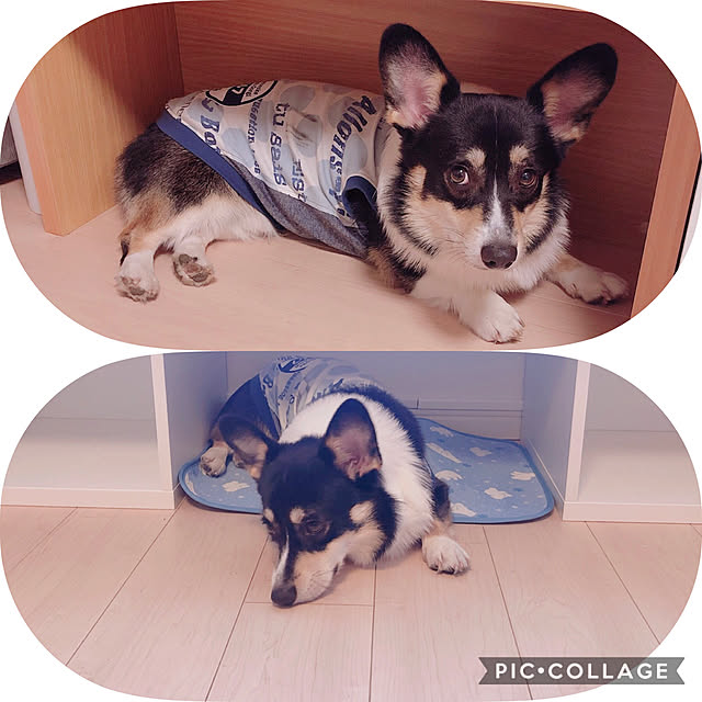 Ruiさんの実例写真