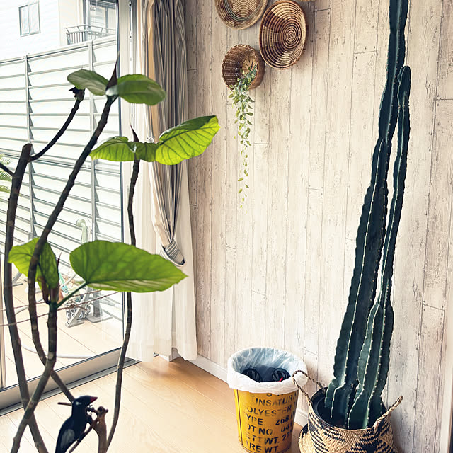 pさんの部屋