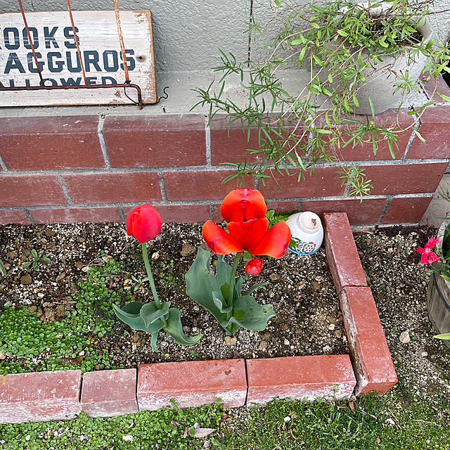 shin0719さんの部屋