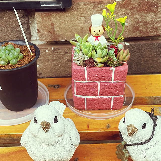 norikorinさんの実例写真