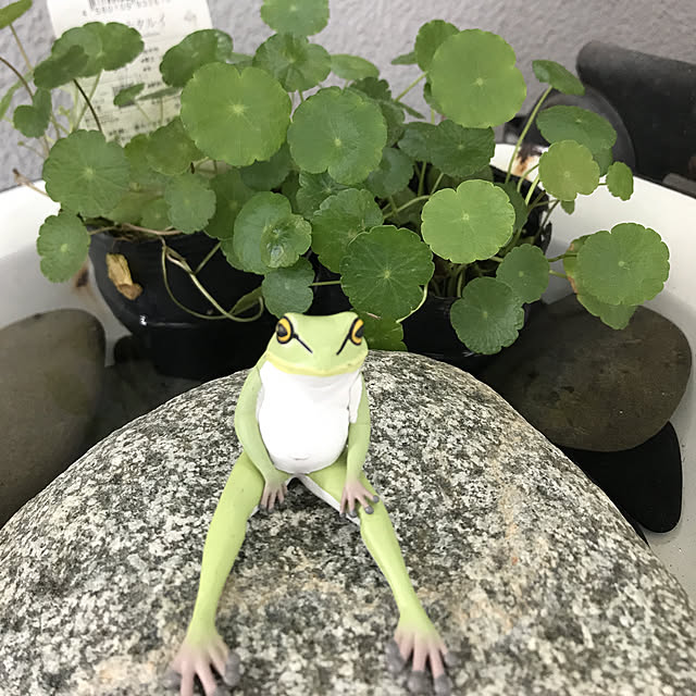 murayumagさんの実例写真